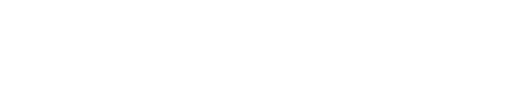 VagonHost